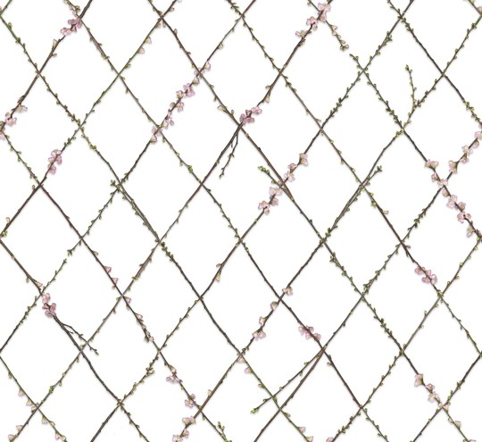 Rebel Walls R13221 Greenhouse Winding Spring - mural w roślinną kratkę