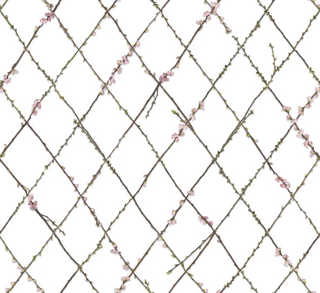 Rebel Walls R13221 Greenhouse Winding Spring - mural w roślinną kratkę