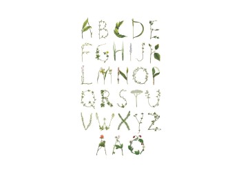 0cfc00f0b53d0a55ce07be11a45ce433