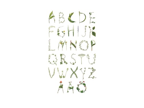 0cfc00f0b53d0a55ce07be11a45ce433