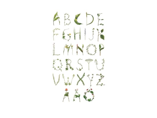 Rebel Walls R13193 Greenhouse ABC for the spelling bee in Swedish - mural w roślinny alfabet