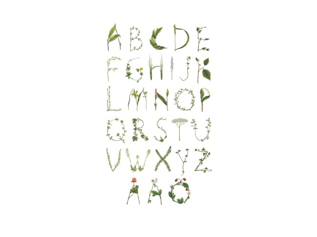 Rebel Walls R13193 Greenhouse ABC for the spelling bee in Swedish - mural w roślinny alfabet