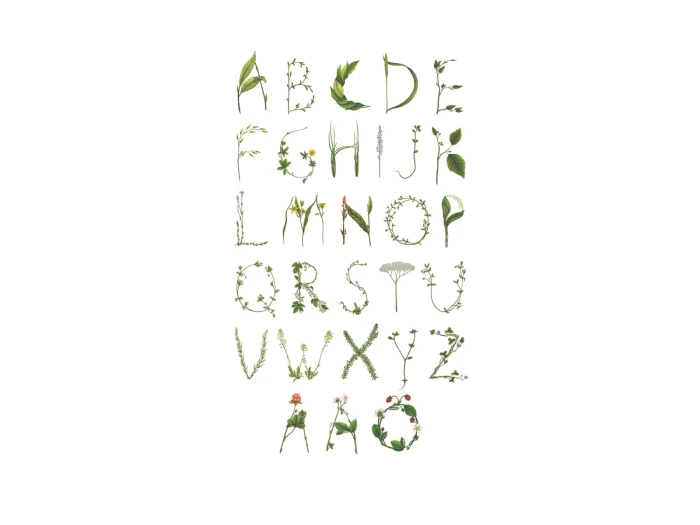 0cfc00f0b53d0a55ce07be11a45ce433