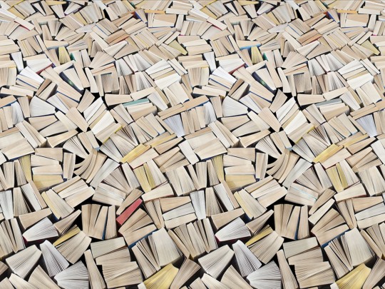 Rebel Walls R11511 Panorama Books - mural w książki