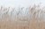 71a46e331e76d75aabe6a7b8e79ca448