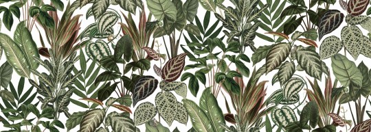 Rebel Walls R14591 Rebel Favorites Mischievous Monkeys - mural w egzotyczne liście