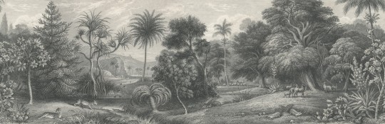 Rebel Walls R14611 Rebel Favorites Jungle Land Vintage - mural w egzotyczny las