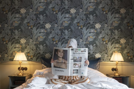 Rebel Walls R17462 Rebel Favorites Furada Teal - tapeta w tukany i egzotyczną roślinność