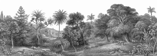 Rebel Walls R14612 Rebel Favorites Jungle Land - mural w egzotyczny las