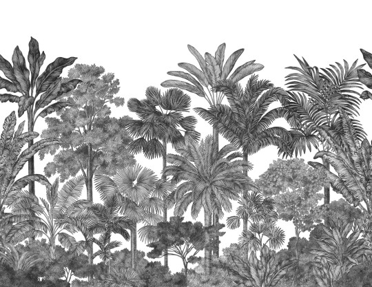 Rebel Walls R17594 Rebel Favorites Tropical Bellewood Graphite - mural w egzotyczne drzewa