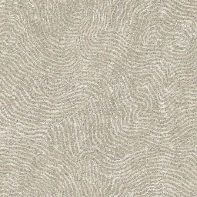 8bd2c4a20a4881aec42c6a5a5cffa402
