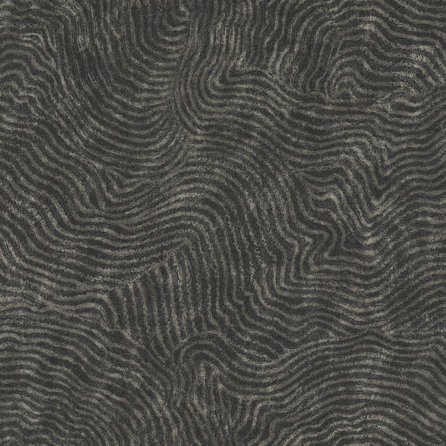 c5e12adbfb70df2cadb7cfda6d0c3572