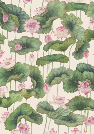 Cole&Son 126/9031 Shinrin Yoku Lily Lotus Pink & White - tapeta lilie wodne