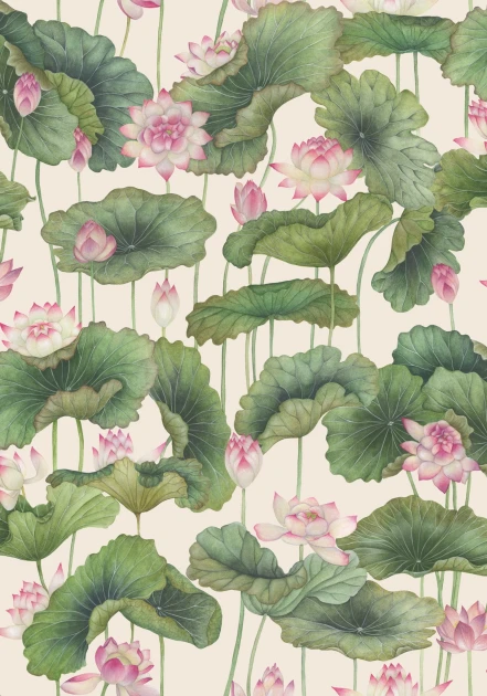 Cole&Son 126/9031 Shinrin Yoku Lily Lotus Pink & White - tapeta lilie wodne