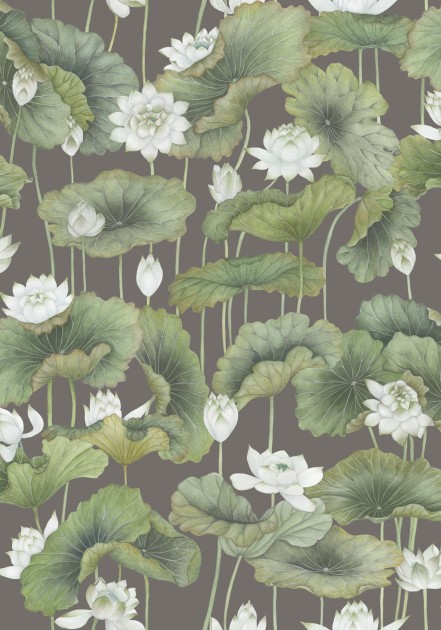Cole&Son 126/9033 Shinrin Yoku Lily Lotus White on Charcoal - tapeta lilie wodne
