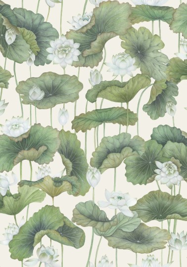 Cole&Son 126/9034 Shinrin Yoku Lily Lotus White on Cream - tapeta lilie wodne