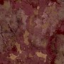 55772ce348d36beb25474b65b6fba9a0