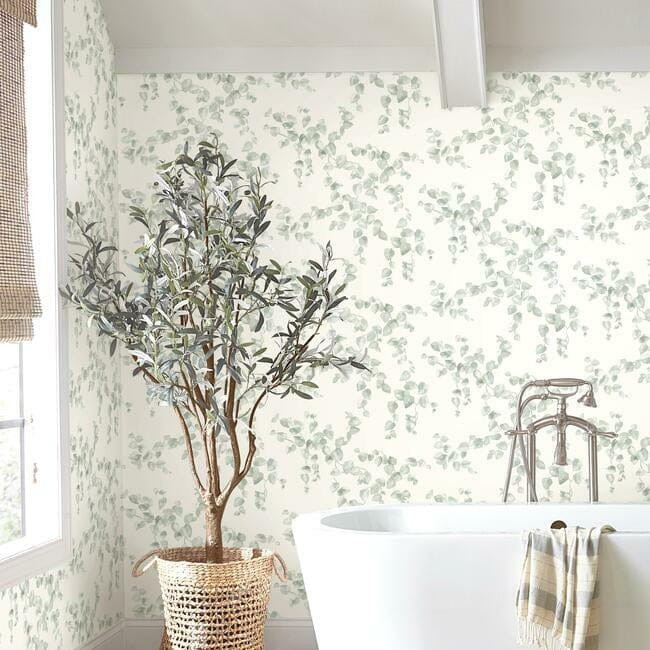 York FH4037 Simply Farmhouse Creeping Fig Vine Sage - tapeta w liście