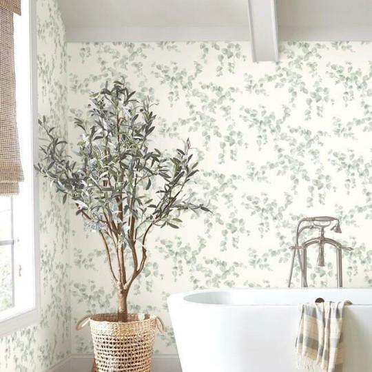 York FH4037 Simply Farmhouse Creeping Fig Vine Sage - tapeta w liście
