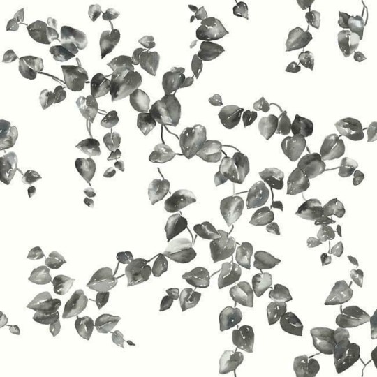 York FH4038 Simply Farmhouse Creeping Fig Vine Black/White - tapeta w liście