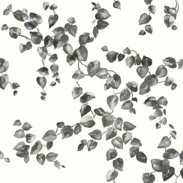 York FH4038 Simply Farmhouse Creeping Fig Vine Black/White - tapeta w liście