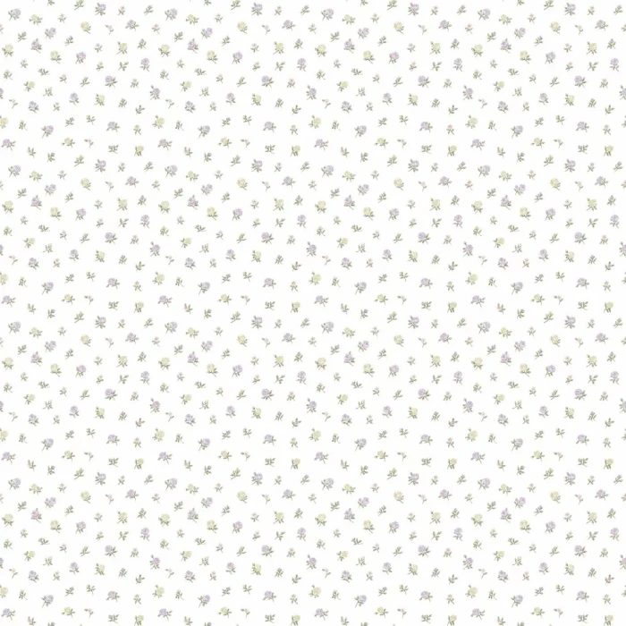 7b6ce888da4e647a856317b55eef77d2
