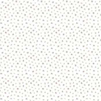 502b6fd77bdc0a708b97615c4bc531dd