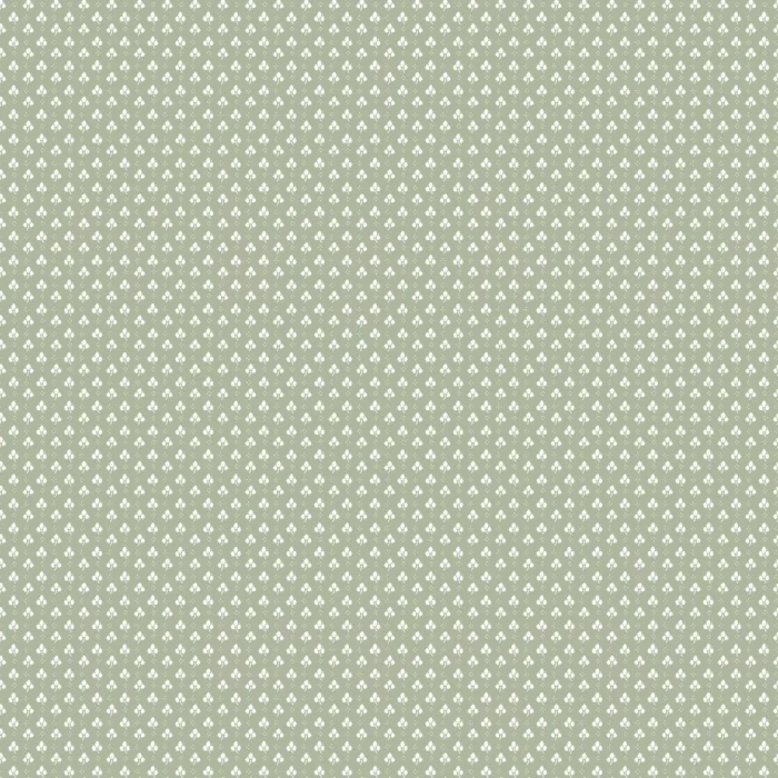 c7f7648bf5591c34462b22d388a4b717