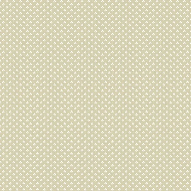 Cristiana Masi 12362 Fiori Country - tapeta w drobne liście