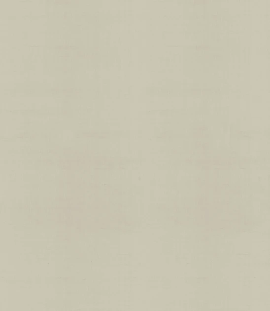 Armani Casa 9091 Precious Fibers 1 Plain Faust - tapeta jedwabna