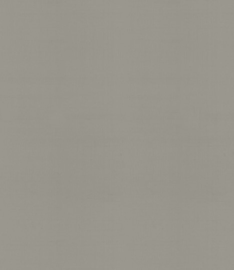 Armani Casa 9092 Precious Fibers 1 Plain Faust - tapeta jedwabna