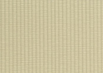 2e1dc68d0883de46d2a8b9bb9142e781