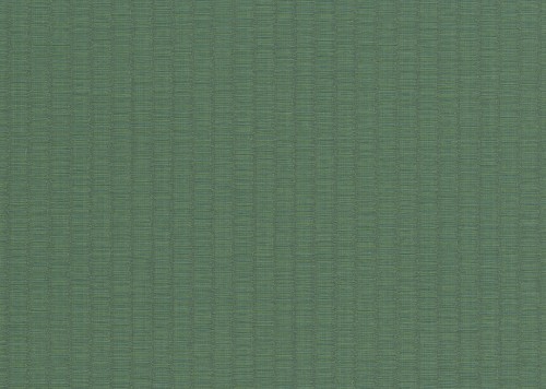 781f117b83dd17a055a562593719102d