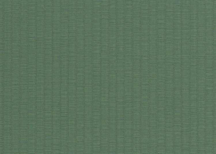781f117b83dd17a055a562593719102d
