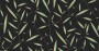 34f01126a414fd7b3acd3a5a1c0616b5