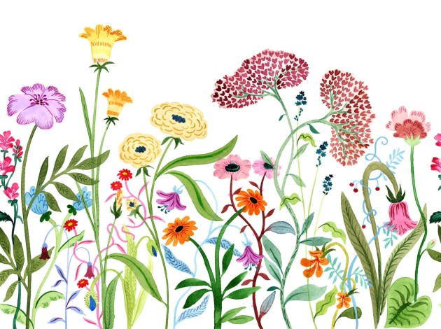 Rebel Walls R20607 Family Fun Summerfield Multi - mural dziecięcy w polne kwiaty