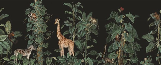 Rebel Walls R19990 Family Fun Wildlife Stroll Black - mural dla dzieci w egzotyczne zwierzęta i rośliny