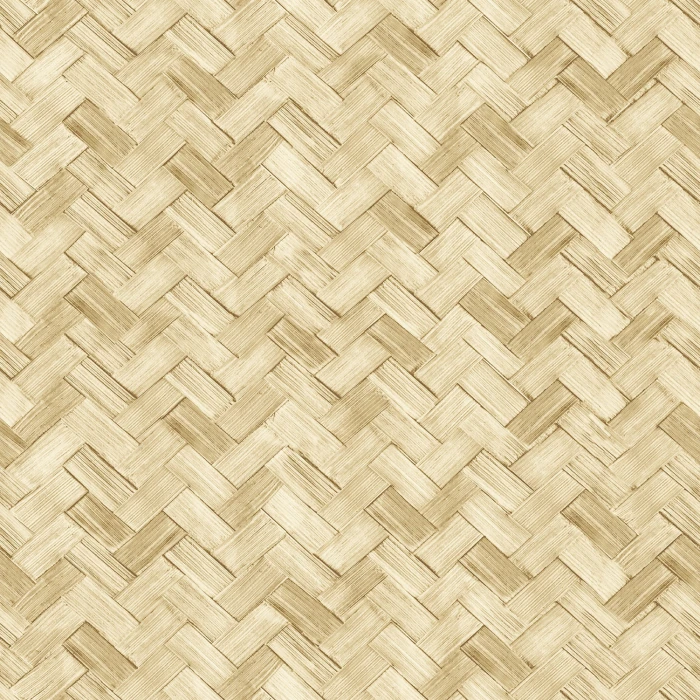 25ffc5f9cc437fc017f2d7fe67e5e55c