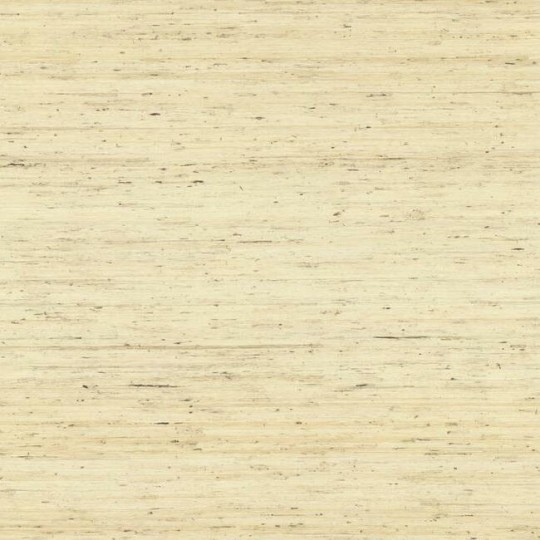York CP9345 Water's Edge Resource Library Arrowroot Cream - tapeta w strukturalne paski