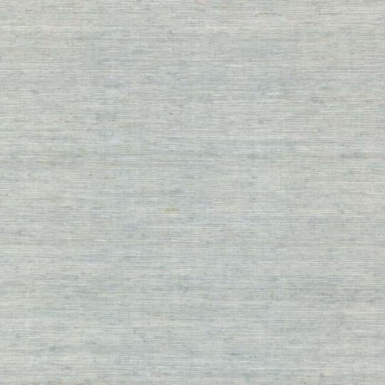 York CV4402 Water's Edge Resource Library Arrowroot Sky Blue - tapeta w strukturalne paski