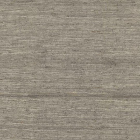 York CV4403 Water's Edge Resource Library Arrowroot Driftwood - tapeta w strukturalne paski