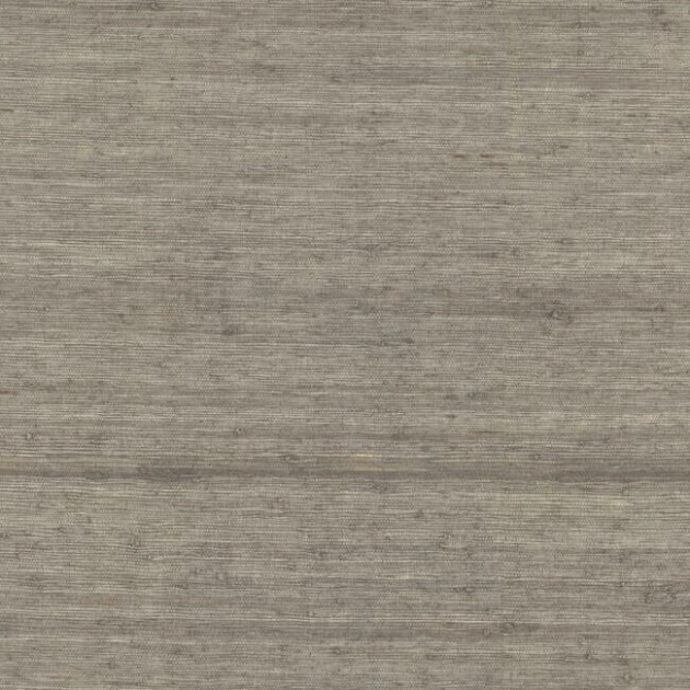 York CV4403 Water's Edge Resource Library Arrowroot Driftwood - tapeta w strukturalne paski