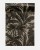 90_WY96240R-W1_WYNUL_20_~Jungle~Print~Wallpaper-Wallpaper-Versace-online-store_0_0.jpg