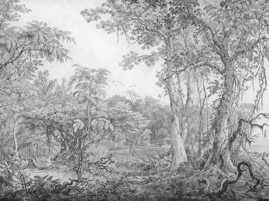 Wallcraft 965 32 2402 2024 Foresta - mural w leśny krajobraz w stylu starych rycin