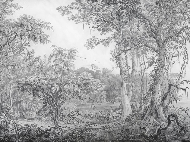 Wallcraft 965 32 2402 2024 Foresta - mural w leśny krajobraz w stylu starych rycin