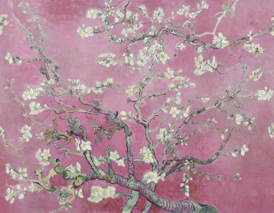 Rebel Walls R20553 First Rebels Almond Blossom Pink - mural w obraz Kwitnący Migdałowiec Vincenta van Gogha
