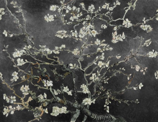 Rebel Walls R20562 First Rebels Almond Blossom Black - mural w obraz Kwitnący Migdałowiec Vincenta van Gogha