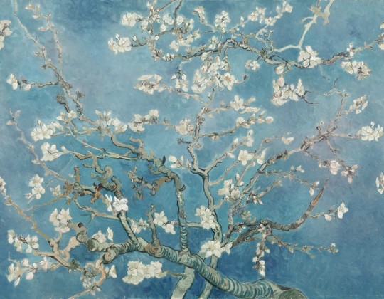 Rebel Walls R20563 First Rebels Almond Blossom by Van Gogh - mural w obraz Kwitnący Migdałowiec Vincenta van Gogha