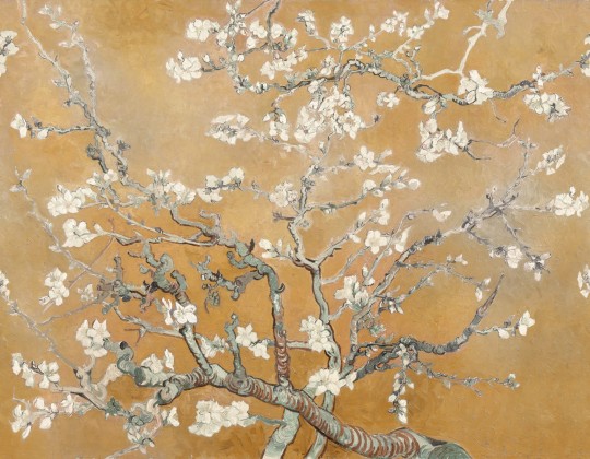 Rebel Walls R20564 First Rebels Almond Blossom Orange - mural w obraz Kwitnący Migdałowiec Vincenta van Gogha