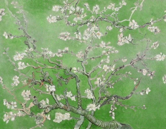 Rebel Walls R20565 First Rebels Almond Blossom Green - mural w obraz Kwitnący Migdałowiec Vincenta van Gogha